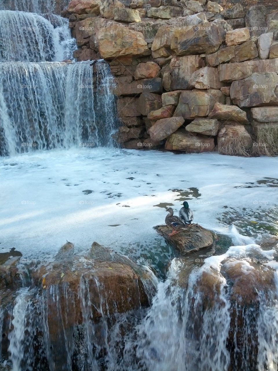 Caught in the middle