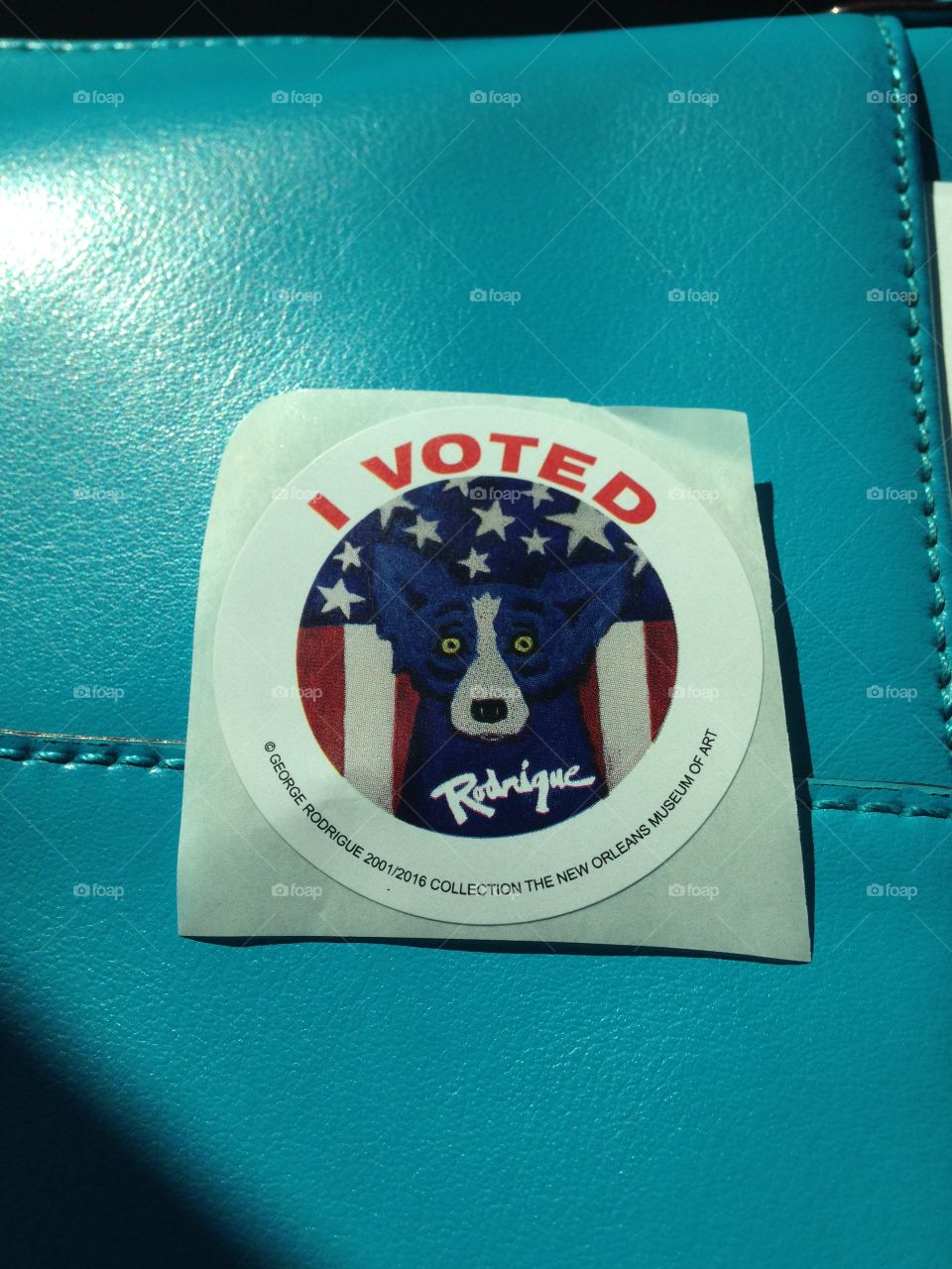 Louisiana Blue Dog I voted sticker 