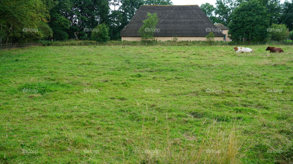 At the countryside during summer.
