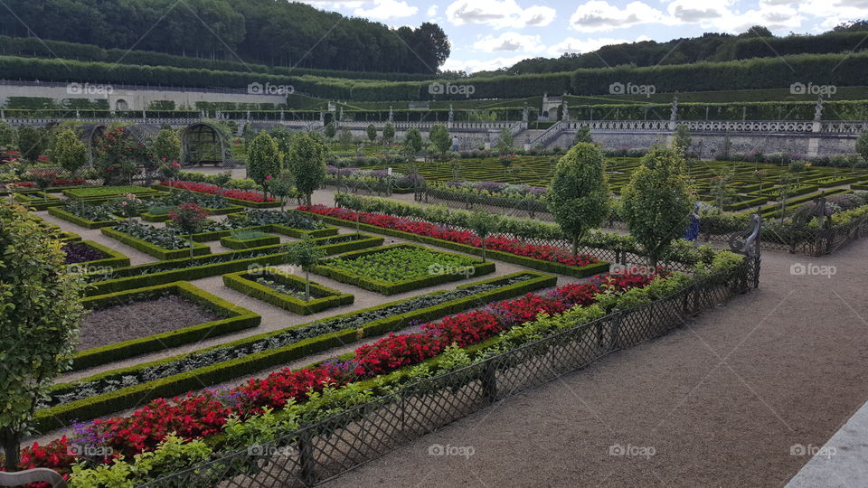 France garden