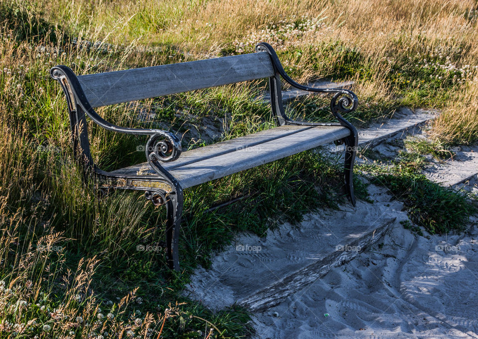Old bench 