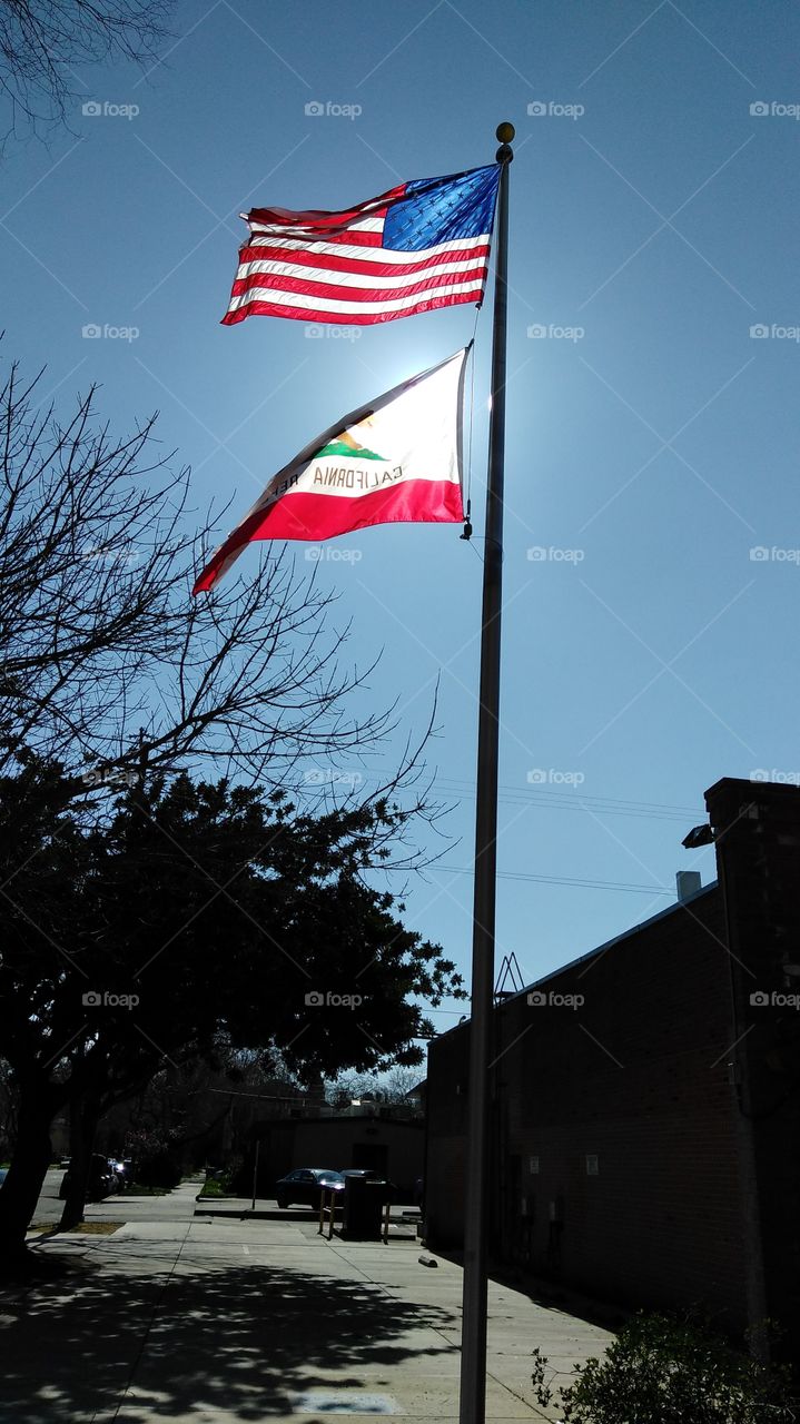 Flags blowing in the wind