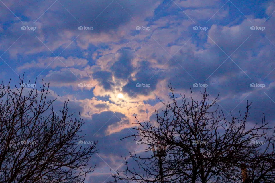Nature