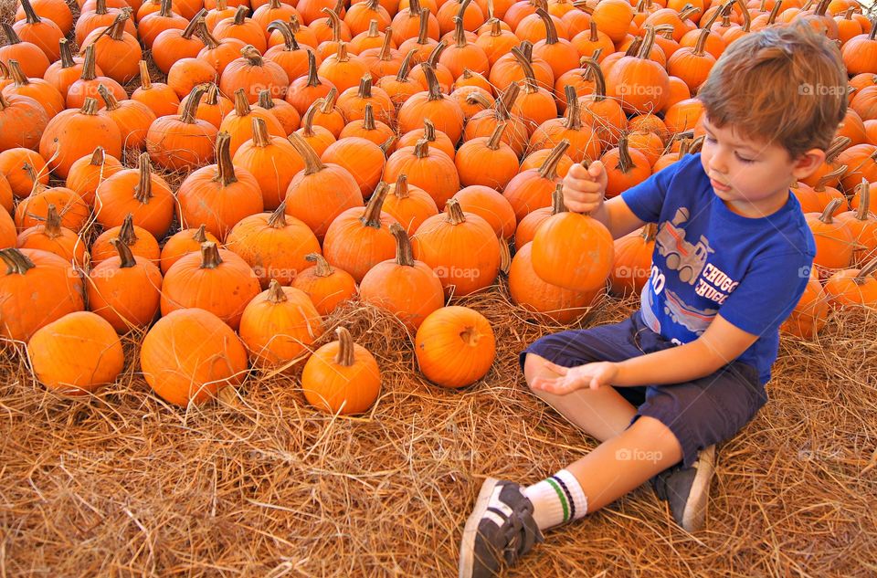 Pumpkin fest