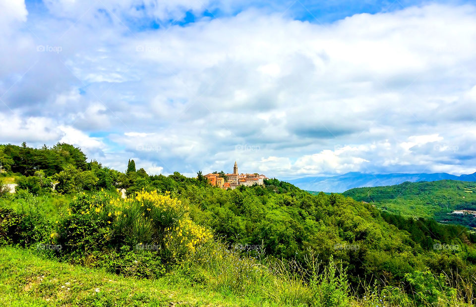Small village on hill. Small village Labin on hill, surrounded by forest in spring, Istria of Croatia, Europe 