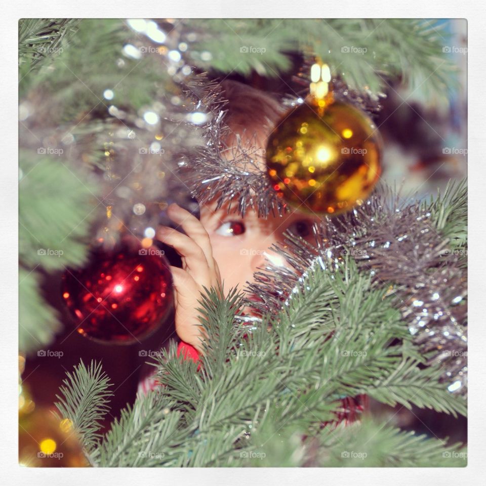 Child in Christmas tree