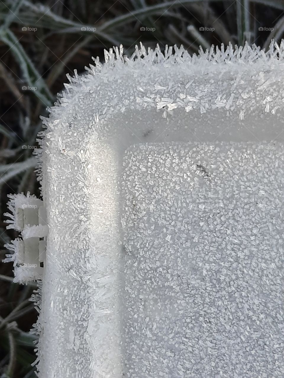 first autumn frost crystals on sunlit plastic box lid