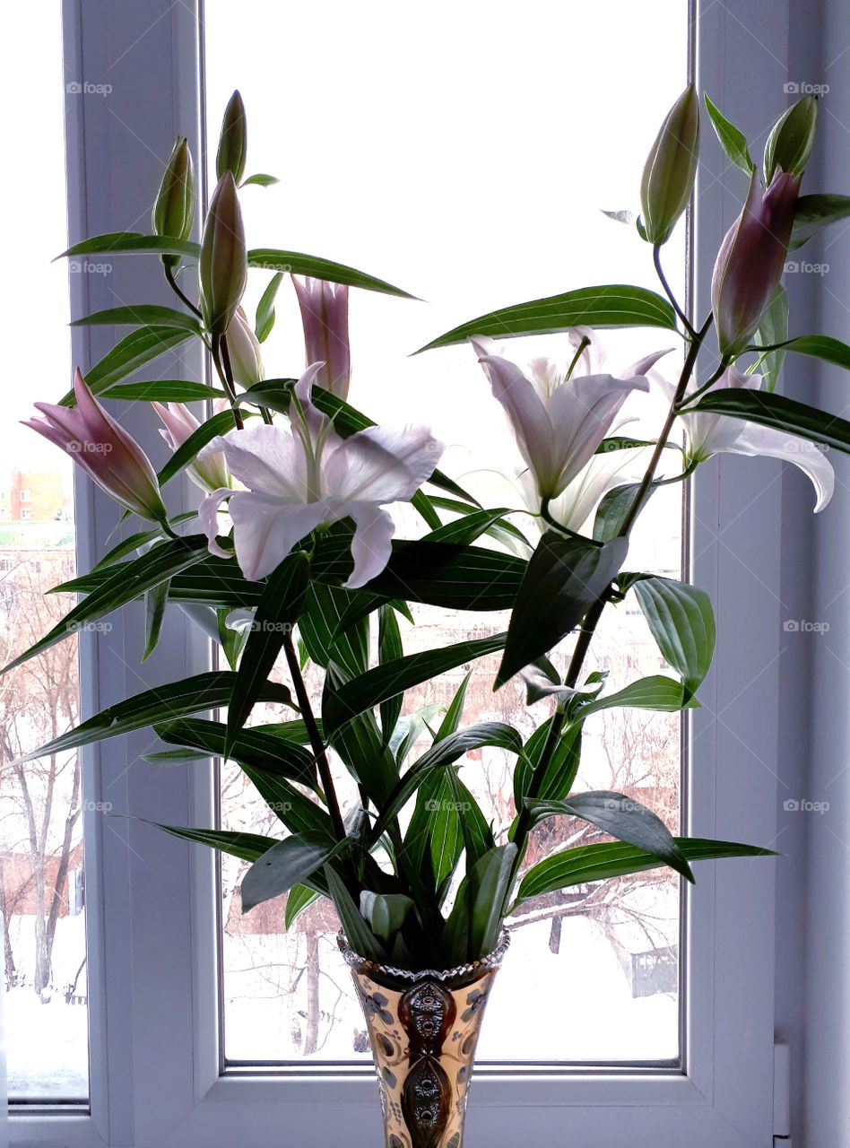 Luxurious bouquet of lilies with a vase