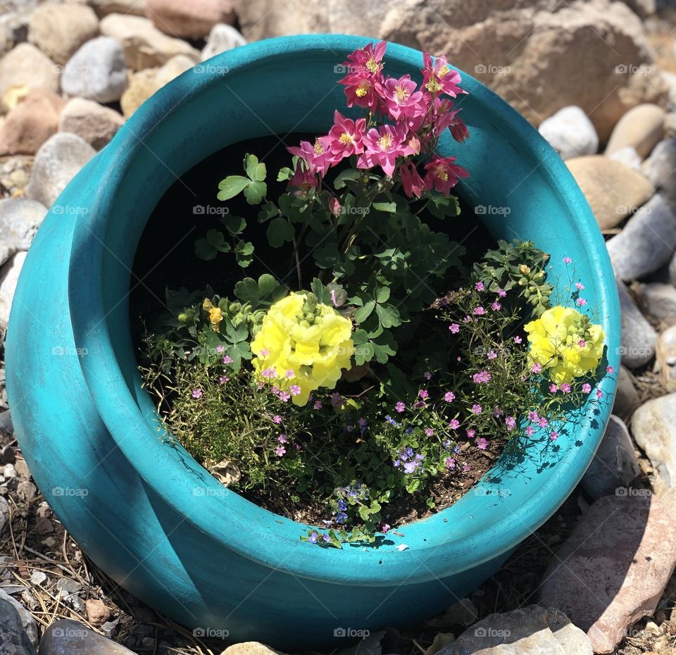 Turquoise pot with flowers