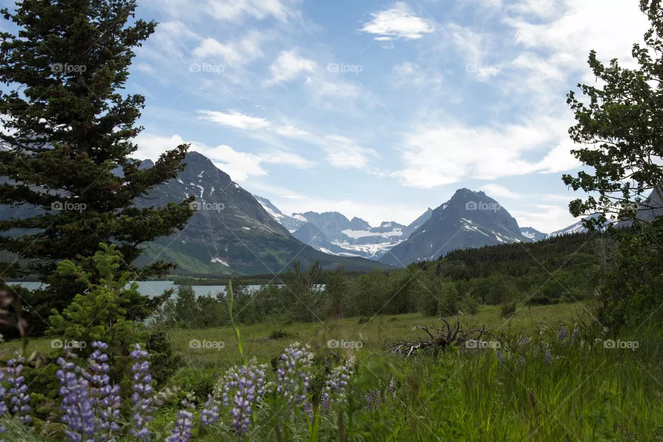 Gorgeous nature (Mission)