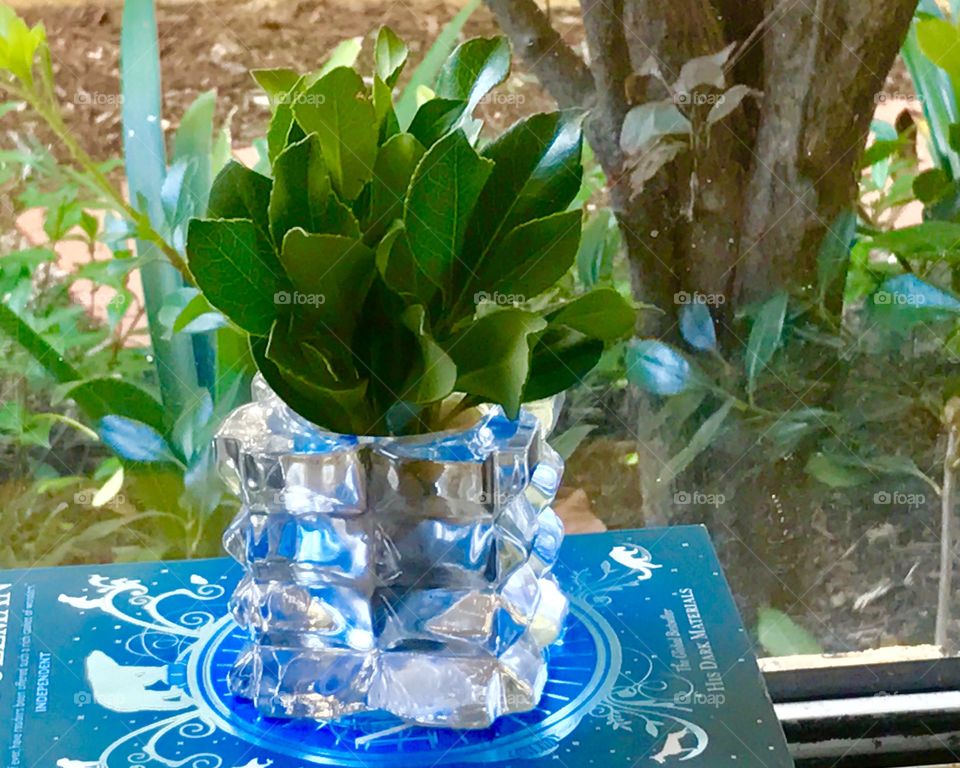 Foliage in crystal vase