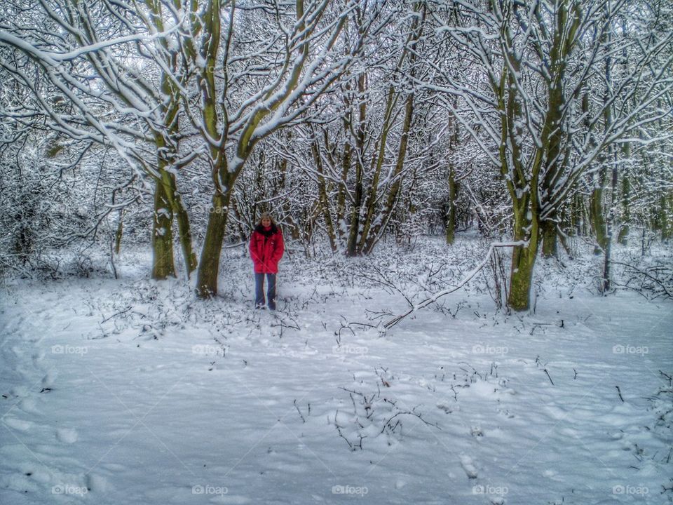 Brrrr! A very cold dog walk in the woods!