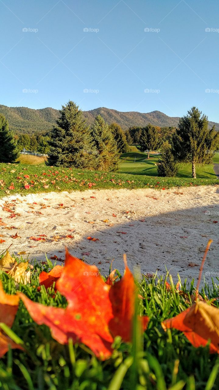 Sand Trap on Mountain Golf Course