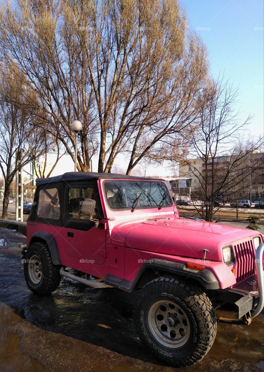 Barbie style pink car