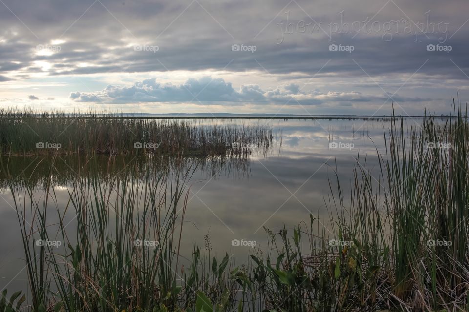 Lake Apopka, Florida