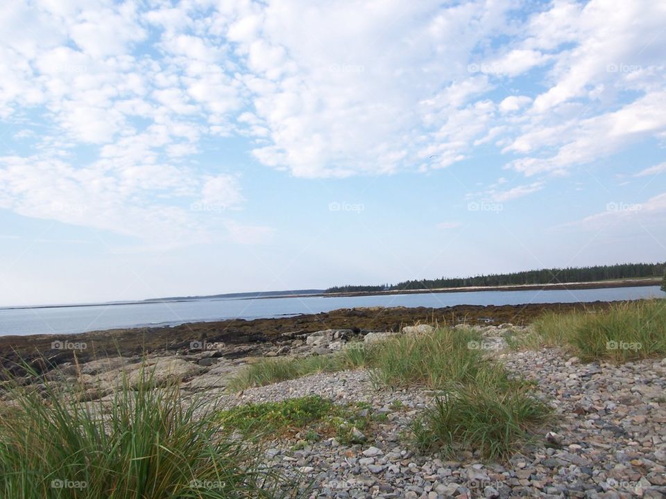 maine coast