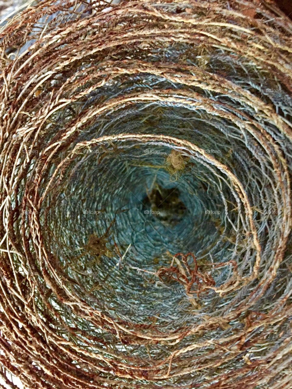 Creative Textures - roll of rusty barbed wire 