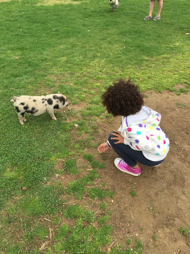 Girl with pig
