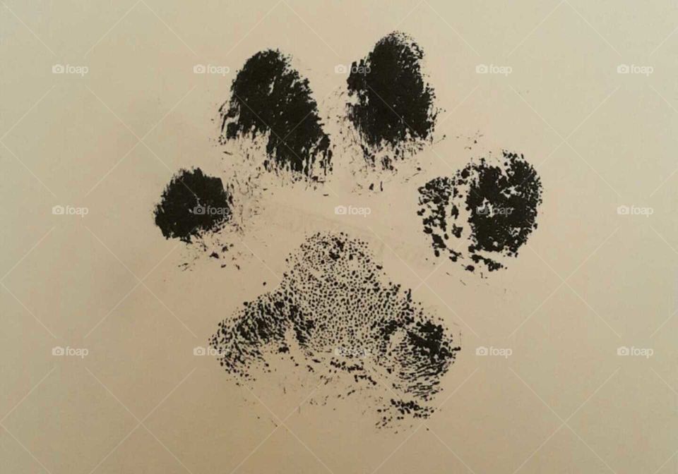 inked paw print dog pet
