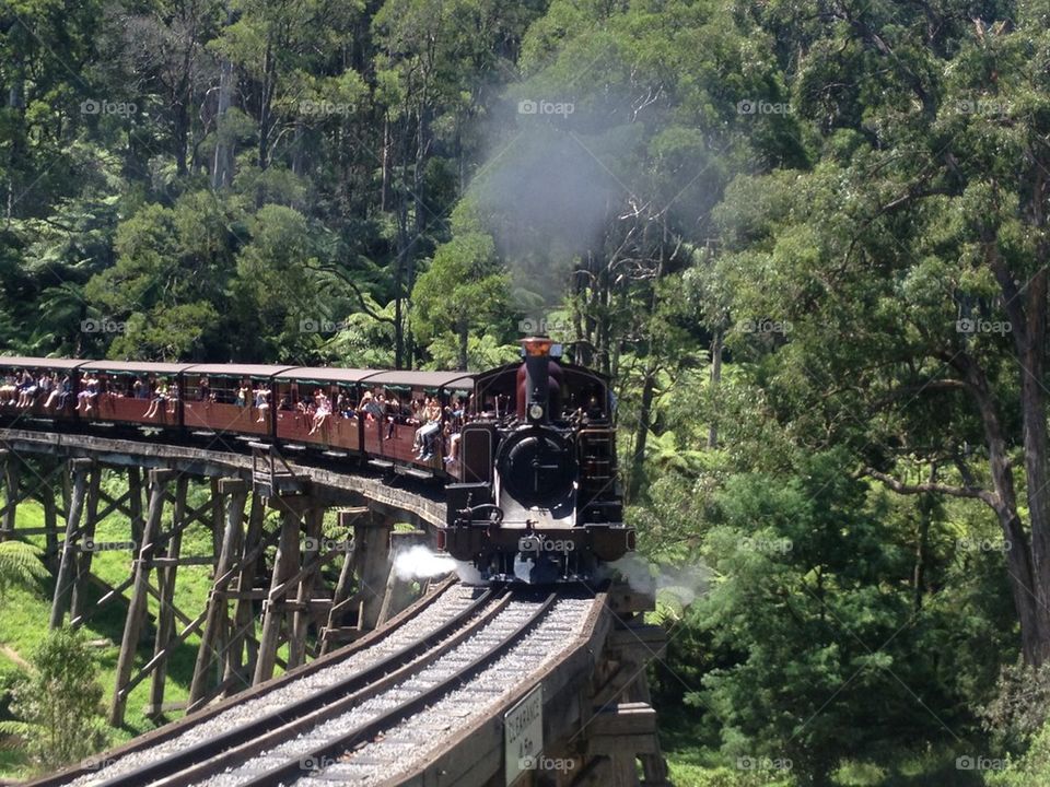 Puffing billy Melbourne  