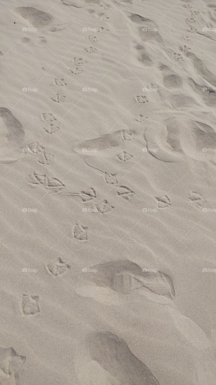 Footprint, Sand, Footstep, Sandy, Beach