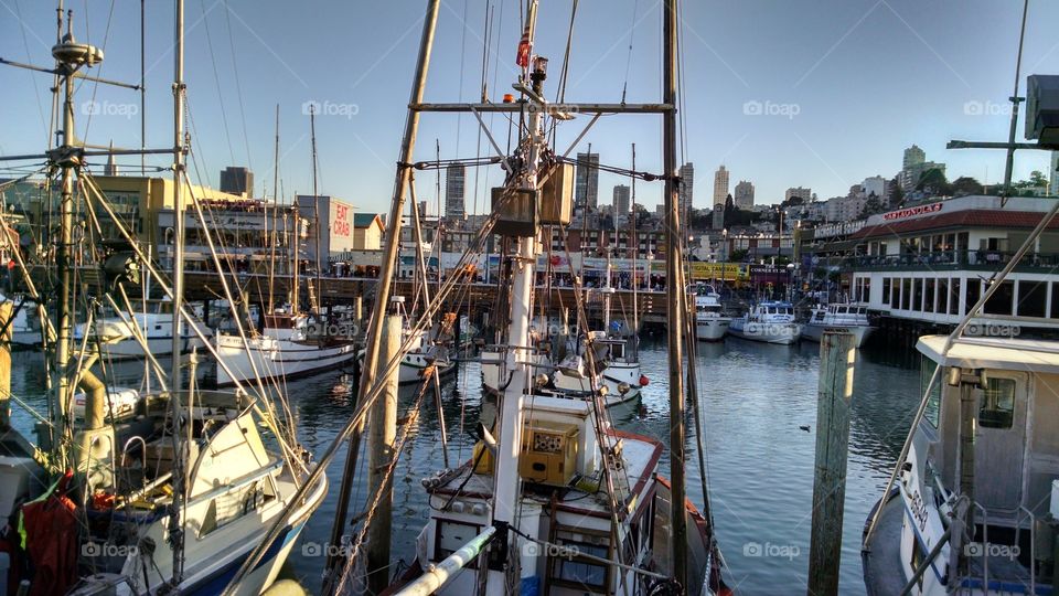 fisherman's wharf