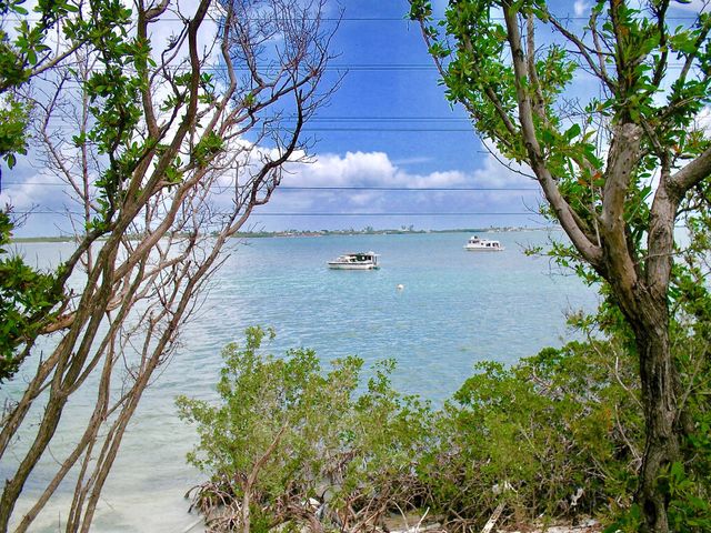 Amazing views of Key West