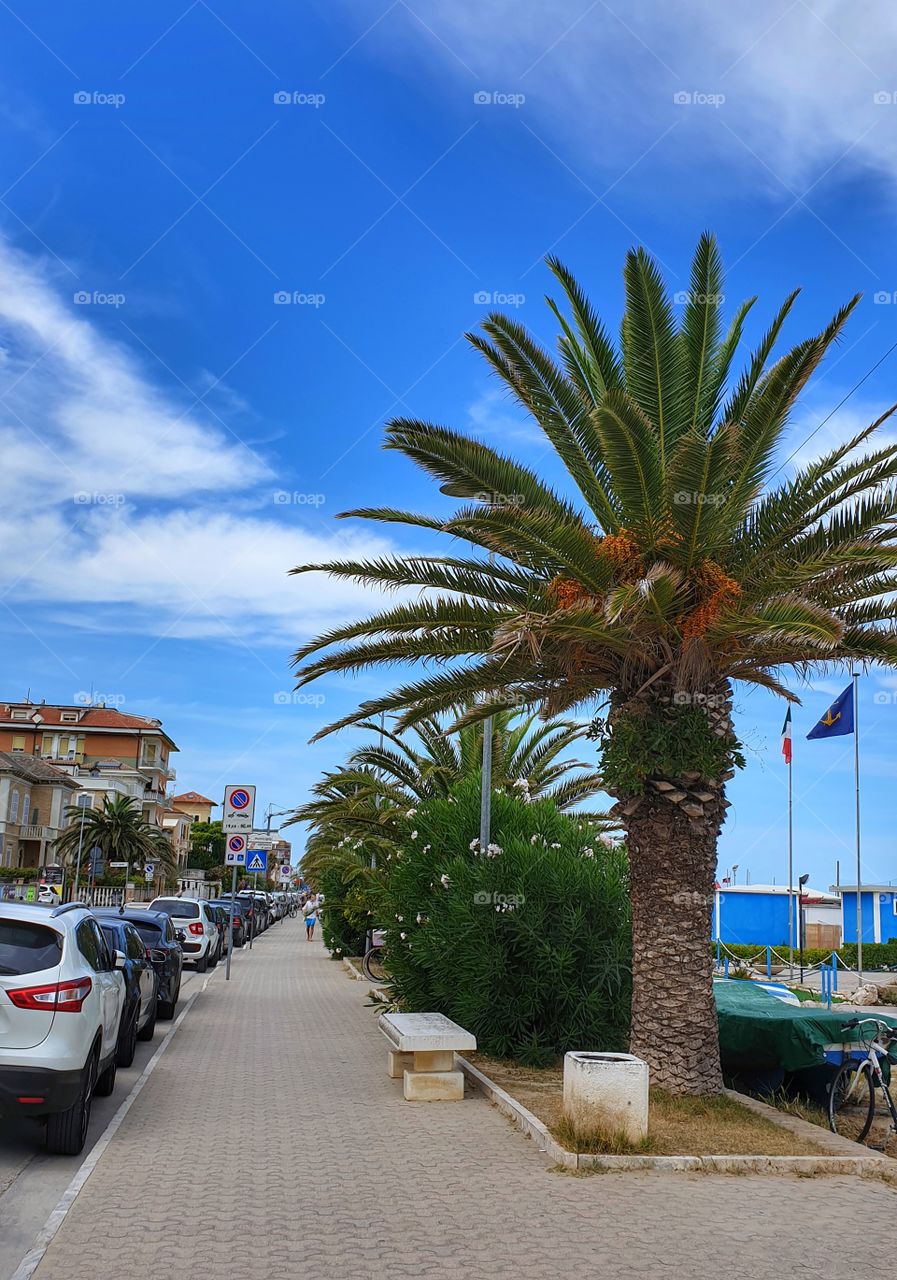 Street in Porto San Giorgio