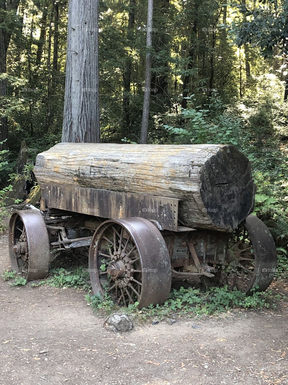 Old Log Hauler