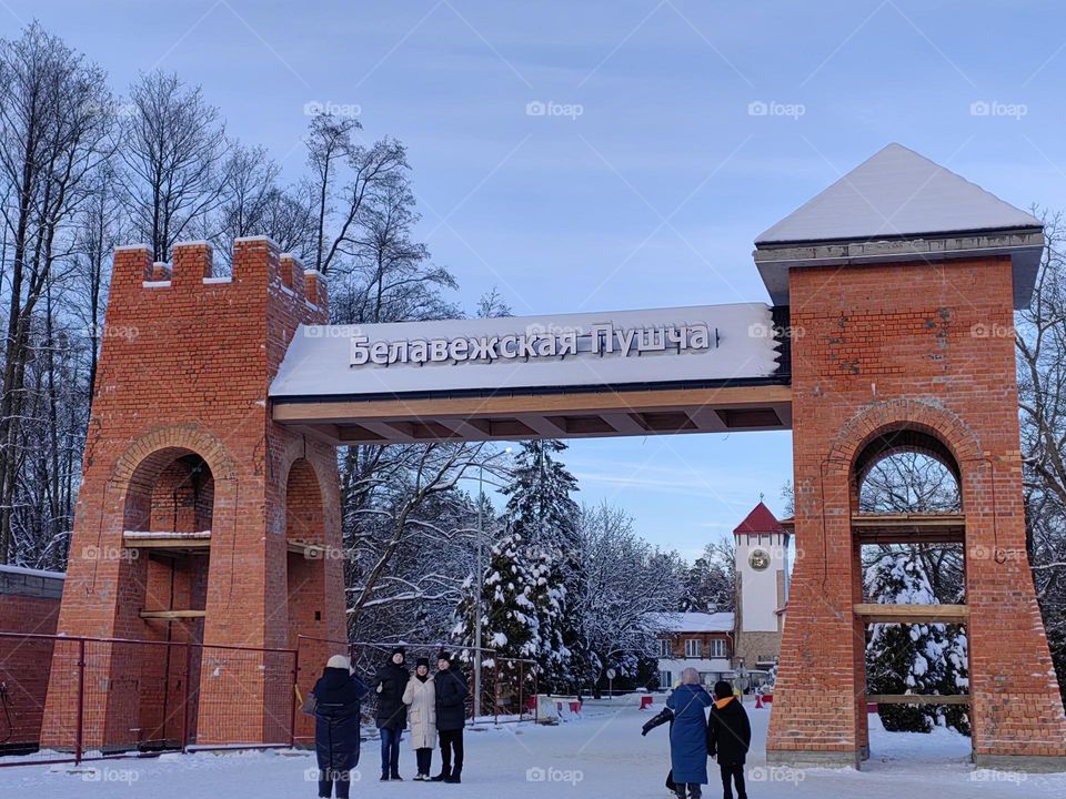 Беловежская пуща