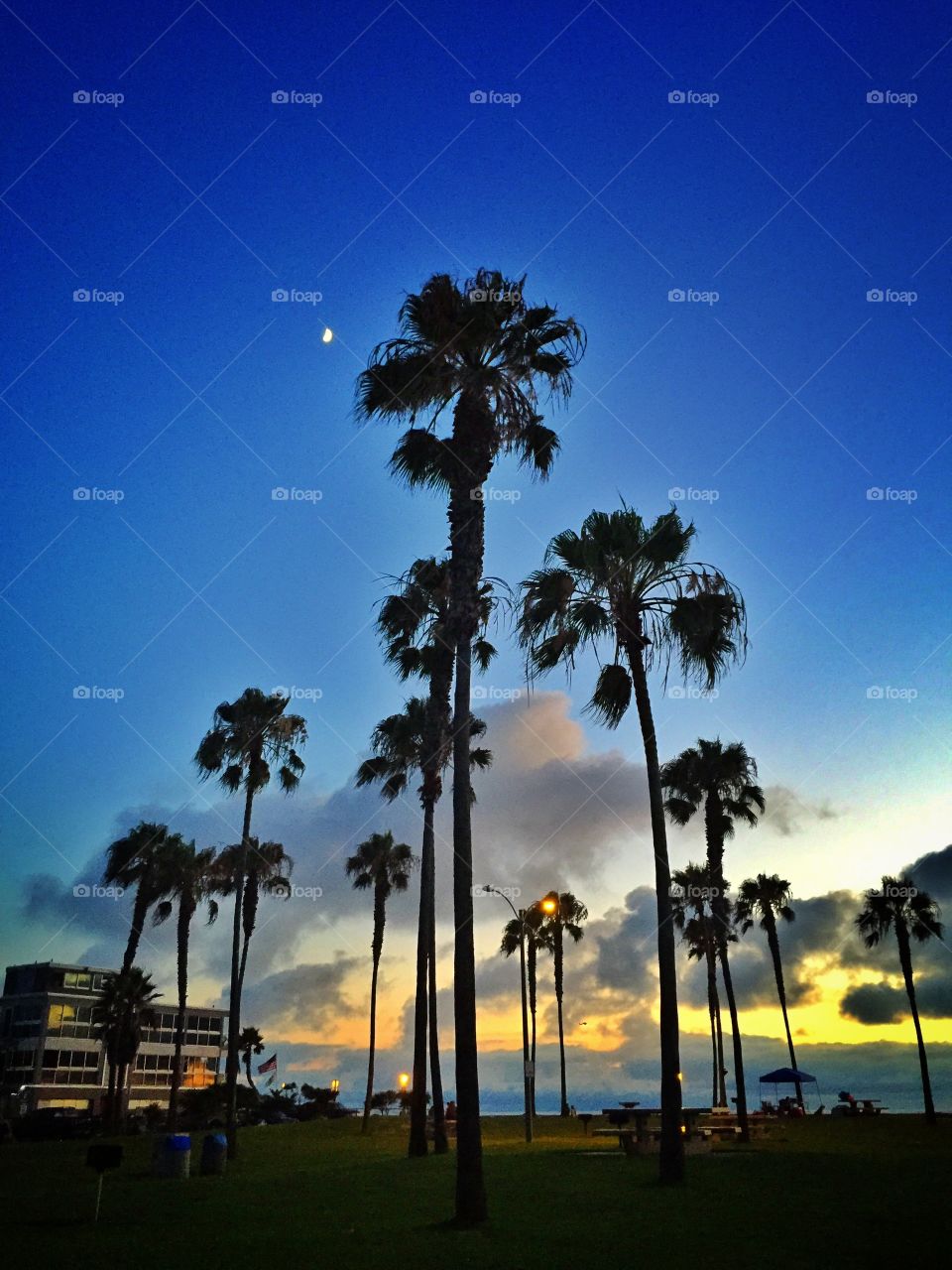 Sunset Palms. Sunset at Belmont Park, San Diego