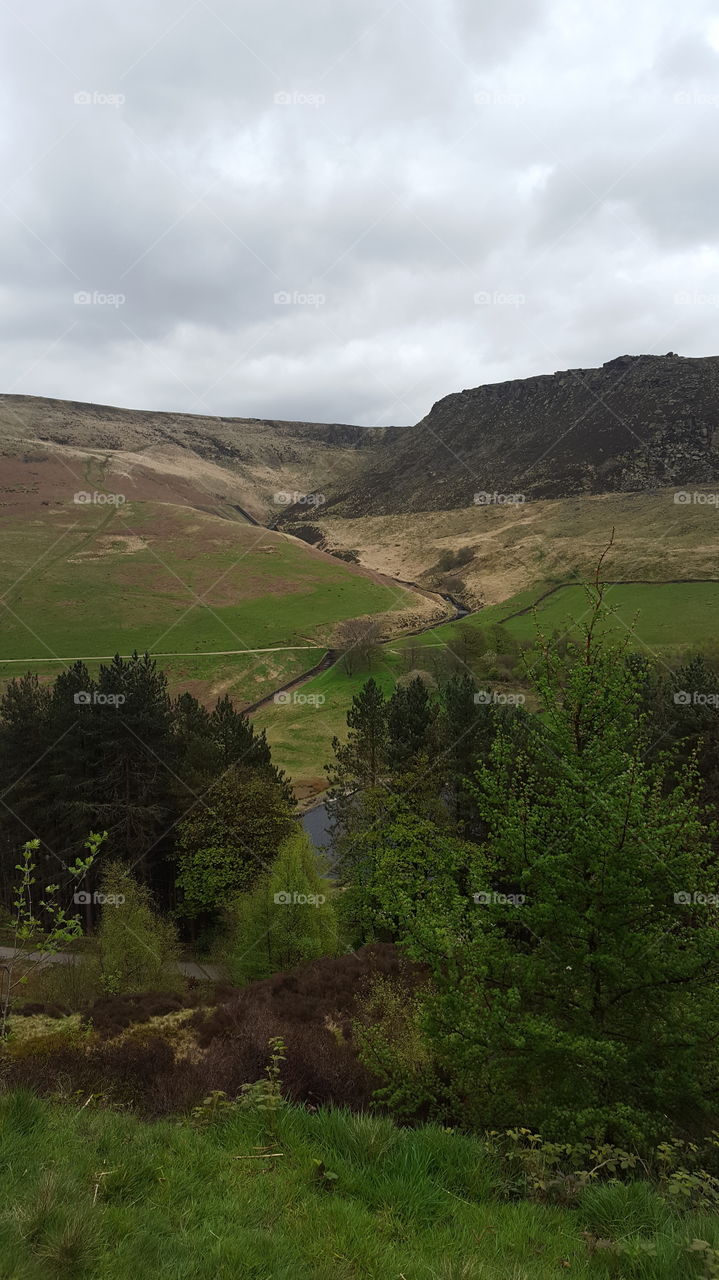 Yorkshire valley