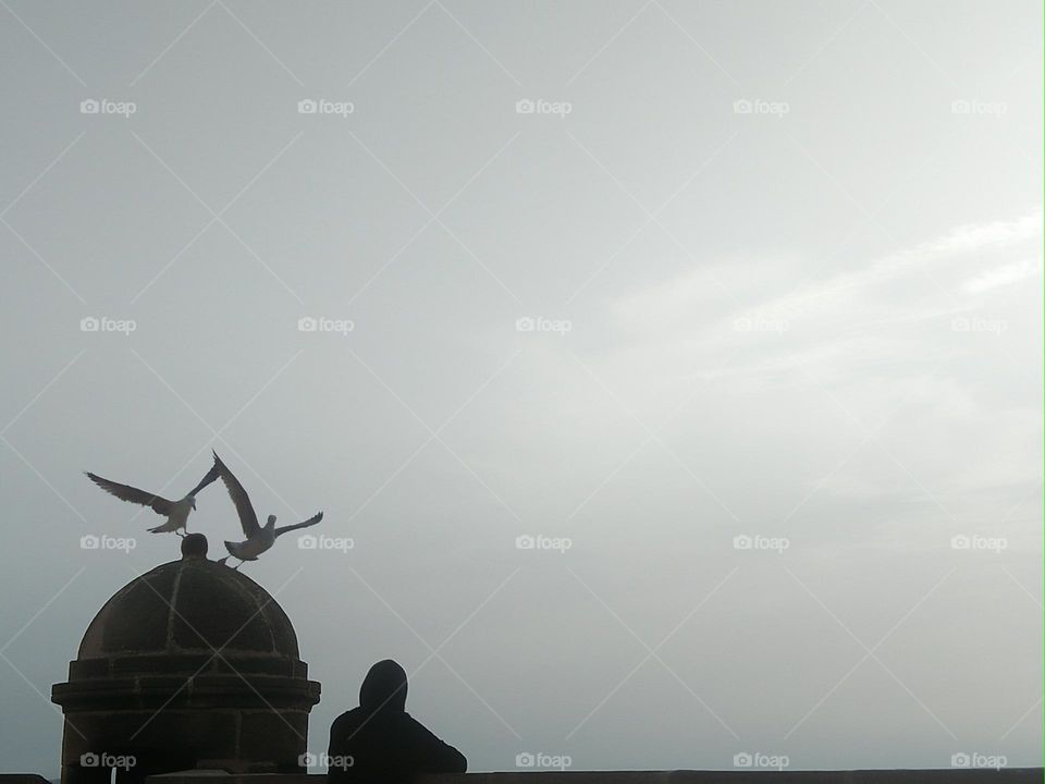 Beautiful seagulls flying cross the sky and a young man is sitting on the wall.