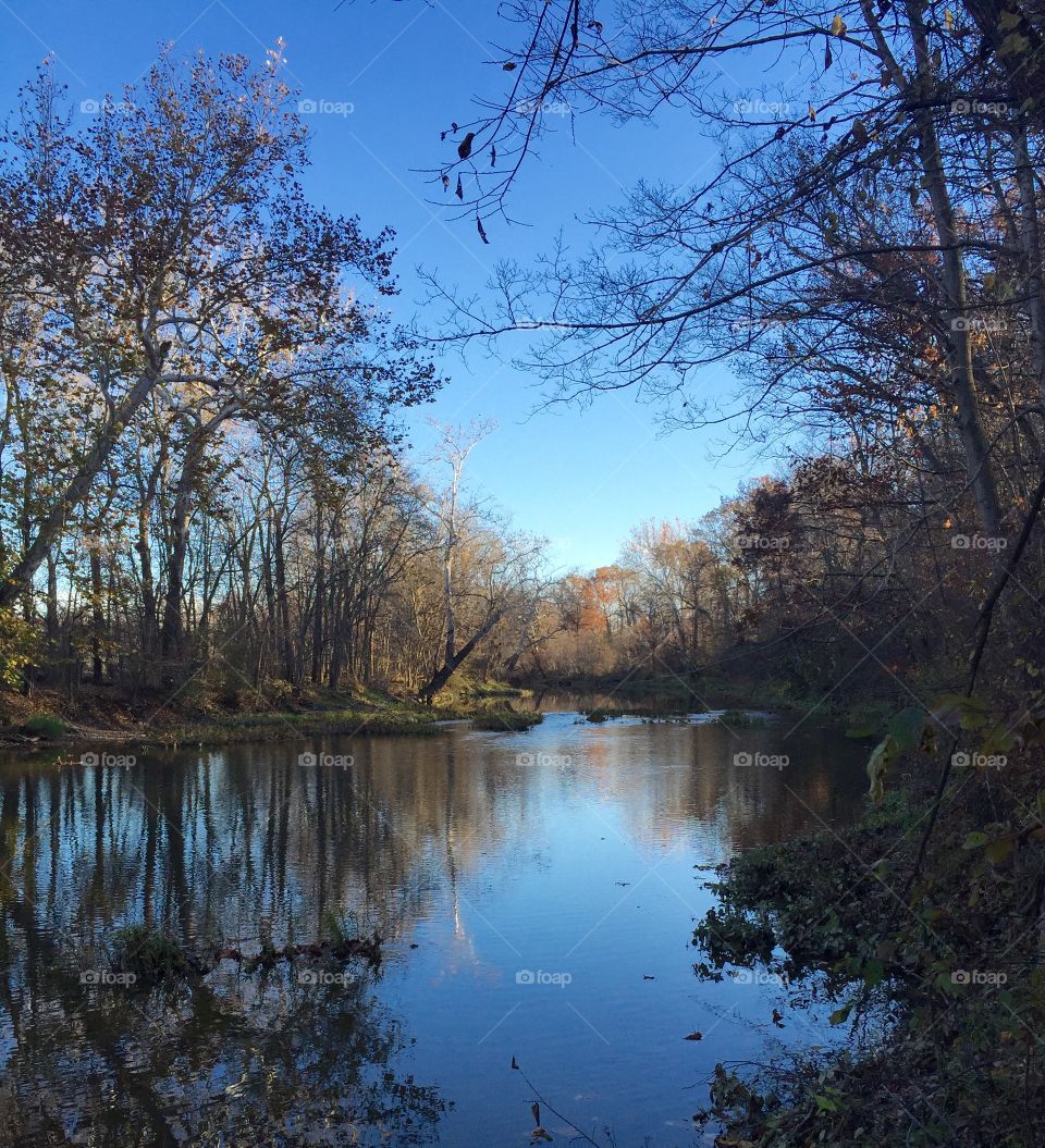 Fall Splendor