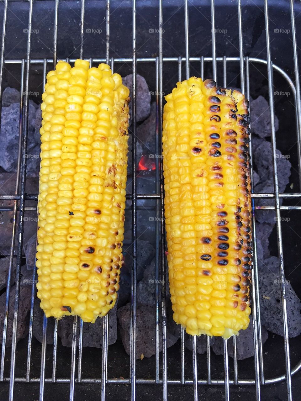 Two fresh corn grill