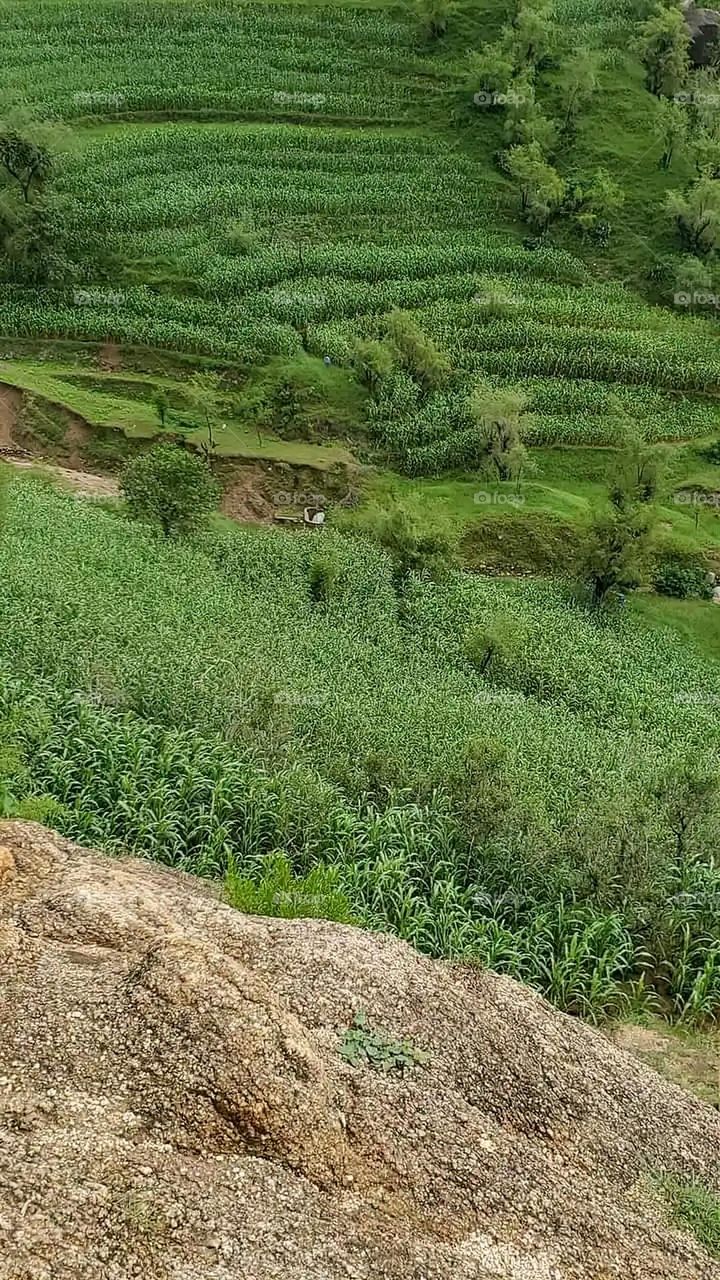 Glory be to God, the magnificent and picturesque view and the natural green trees are a view that is nothing more wonderful than it