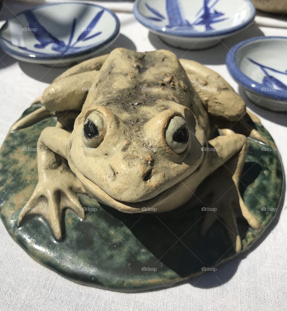 Clayfrog