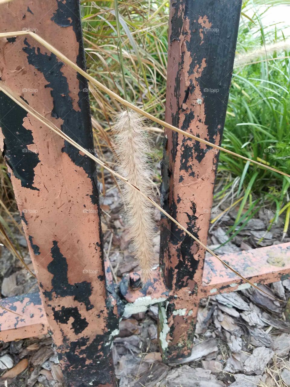 Rusted metal fence posts close up with grass in background