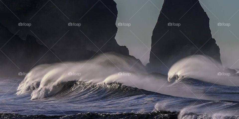 THE PACIFIC WAVES