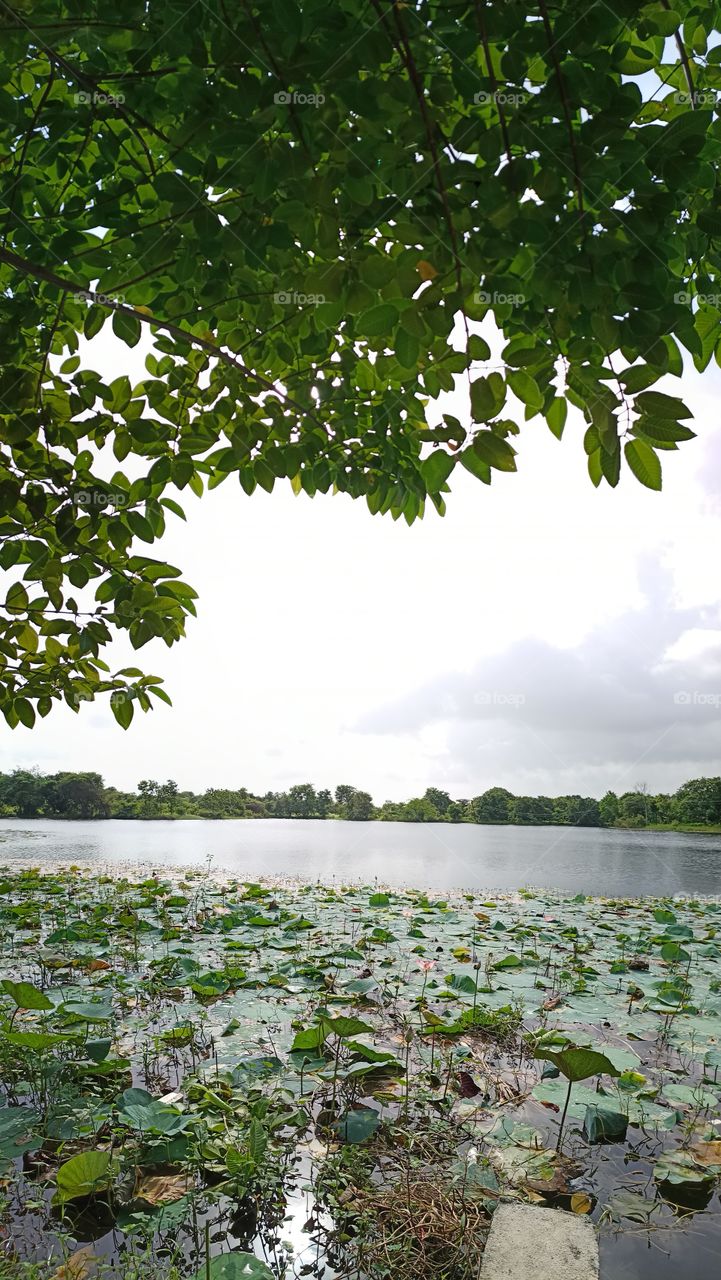 naiture is the best heler to heal in your fillins