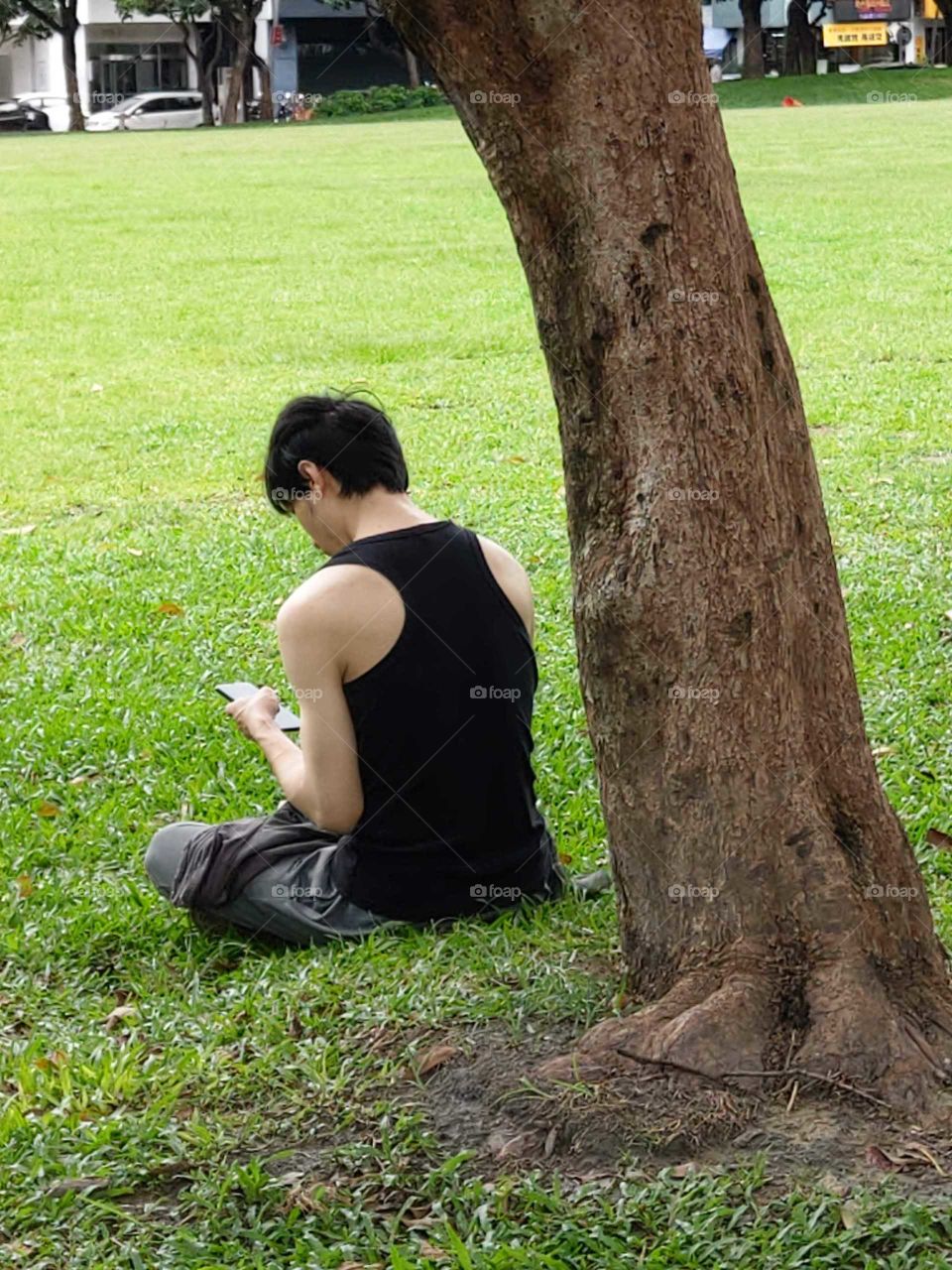 It's summertime!: using mobile phone under the shade of a tree sit on the park lawn. good idea to cool off.