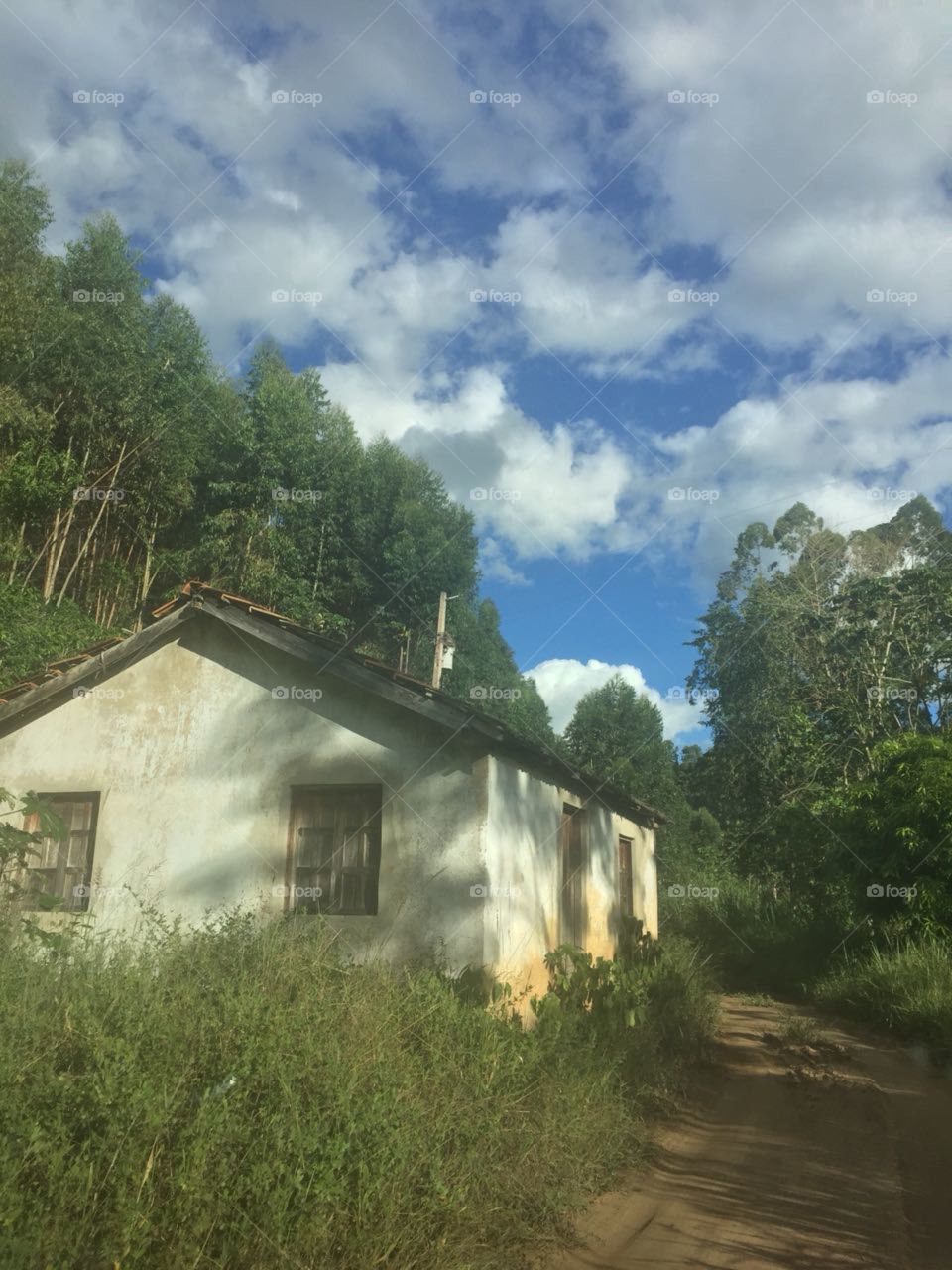 Naturals in Brasil - rural house