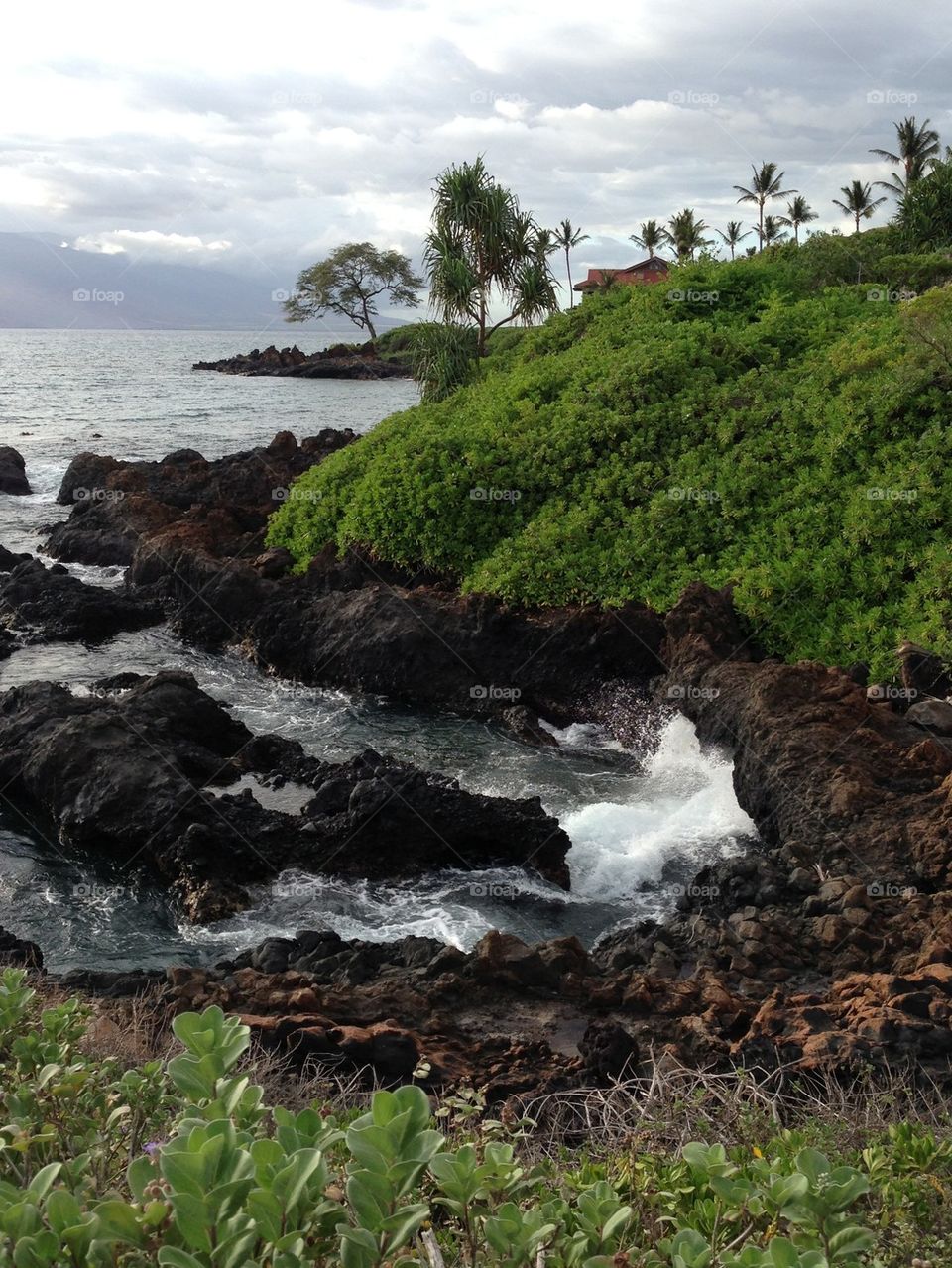 Ocean overlook