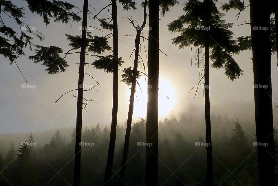 mountains sunrise