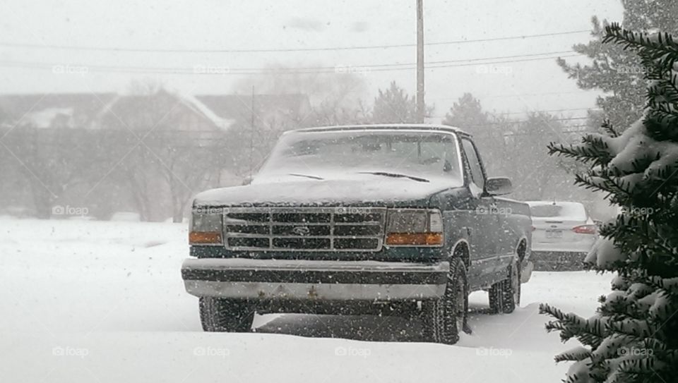 Out in the Cold. Taken just as the huge snow storm of 2015 came in-the one that buried Boston (and my truck).