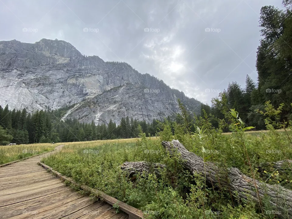 Beautiful Yosemite 