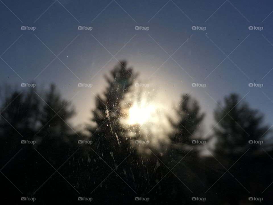 Tree blur with sun 