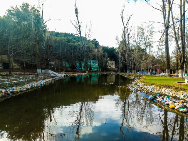 lake