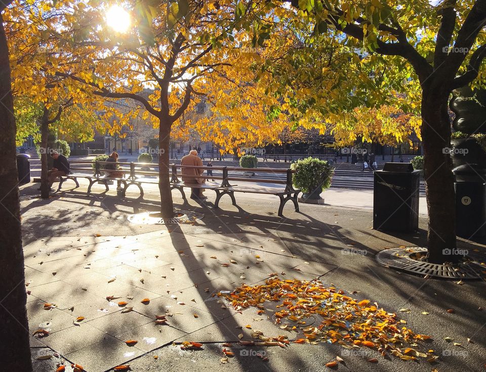 People on the park bench