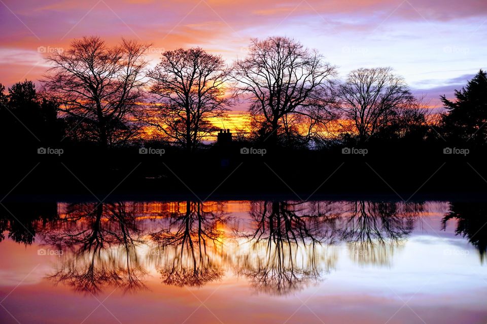 Carmel Sunset ... A photo taken from our skylight showing a pretty Winter sunset.